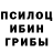 Галлюциногенные грибы мухоморы Amivai