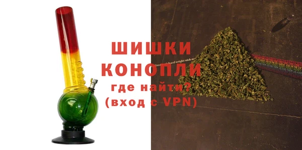 ГАЛЛЮЦИНОГЕННЫЕ ГРИБЫ Абаза