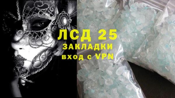 ГАЛЛЮЦИНОГЕННЫЕ ГРИБЫ Абаза