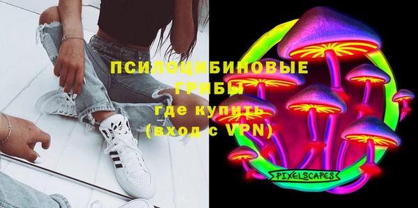 ГАЛЛЮЦИНОГЕННЫЕ ГРИБЫ Абаза