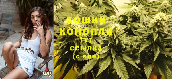 ГАЛЛЮЦИНОГЕННЫЕ ГРИБЫ Абаза