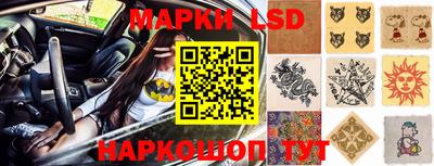 Альфа ПВП Моздок