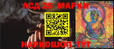 Альфа ПВП Можга
