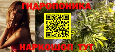 Альфа ПВП Можга