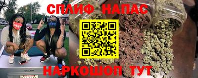 Альфа ПВП Моздок