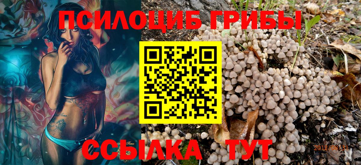 Галлюциногенные грибы GOLDEN TEACHER Черногорск