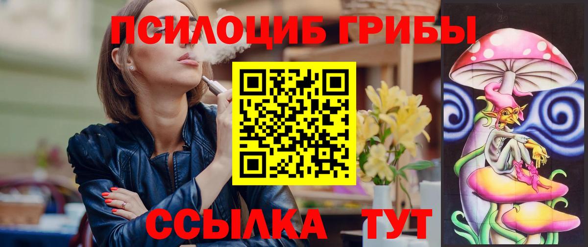Галлюциногенные грибы Magic Shrooms  Вход с VPN  Черногорск  Псилоцибиновые грибы MAGIC MUSHROOMS 